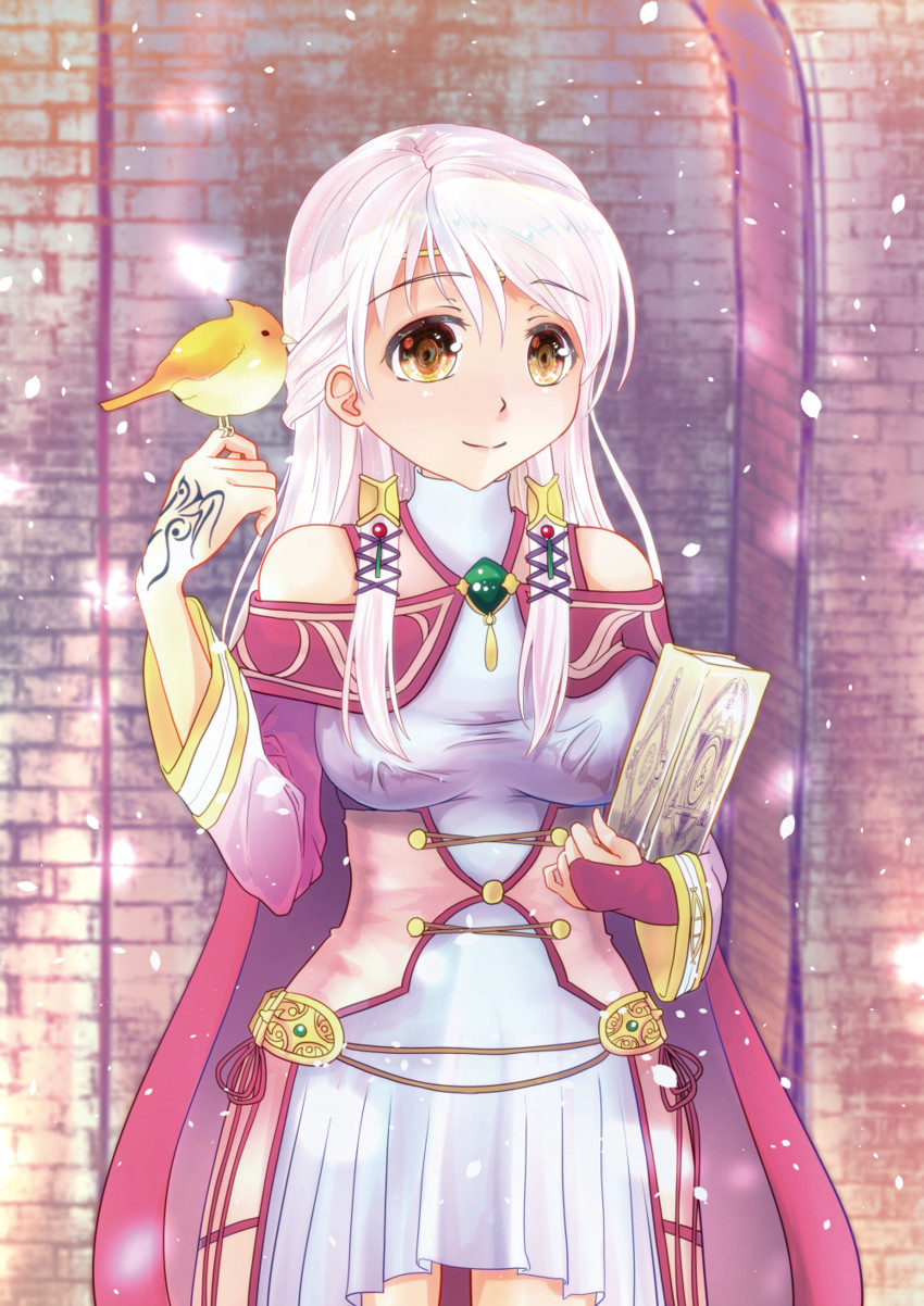 micaiah and yune (fire emblem and 1 more) drawn by yukiyanagi_yui