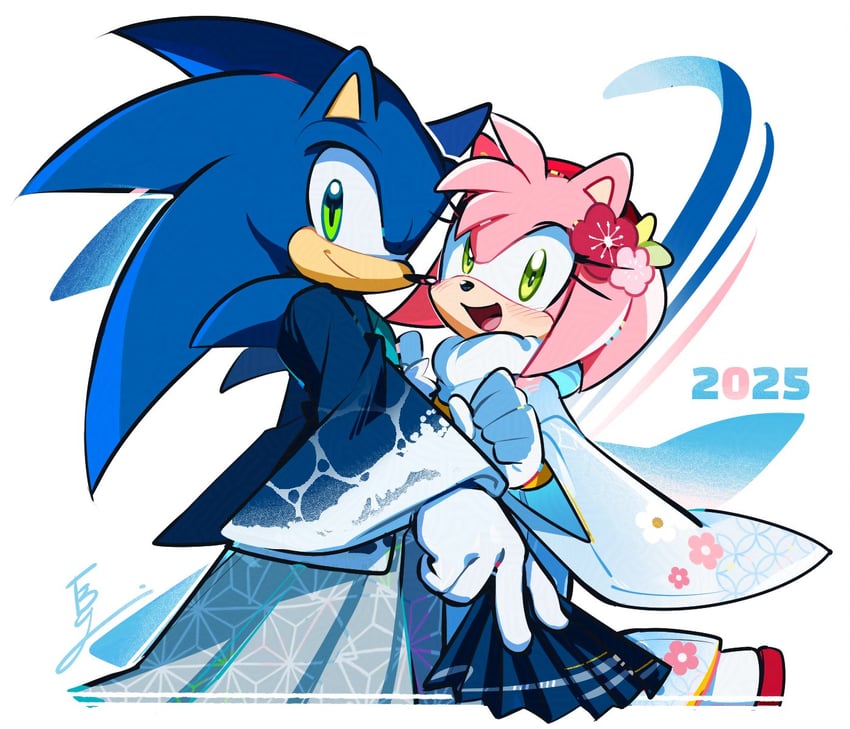sonic the hedgehog and amy rose (sonic) drawn by weon1119