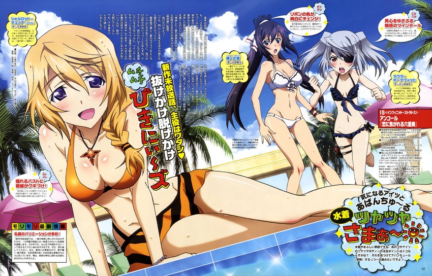 charlotte dunois, laura bodewig, and shinonono houki (infinite stratos) drawn by komito_yukiyo