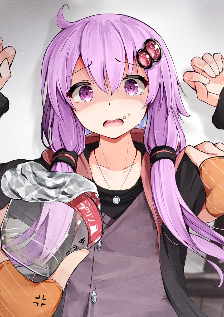 yuzuki yukari and kizuna akari (vocaloid and 1 more) drawn by se-u-ra