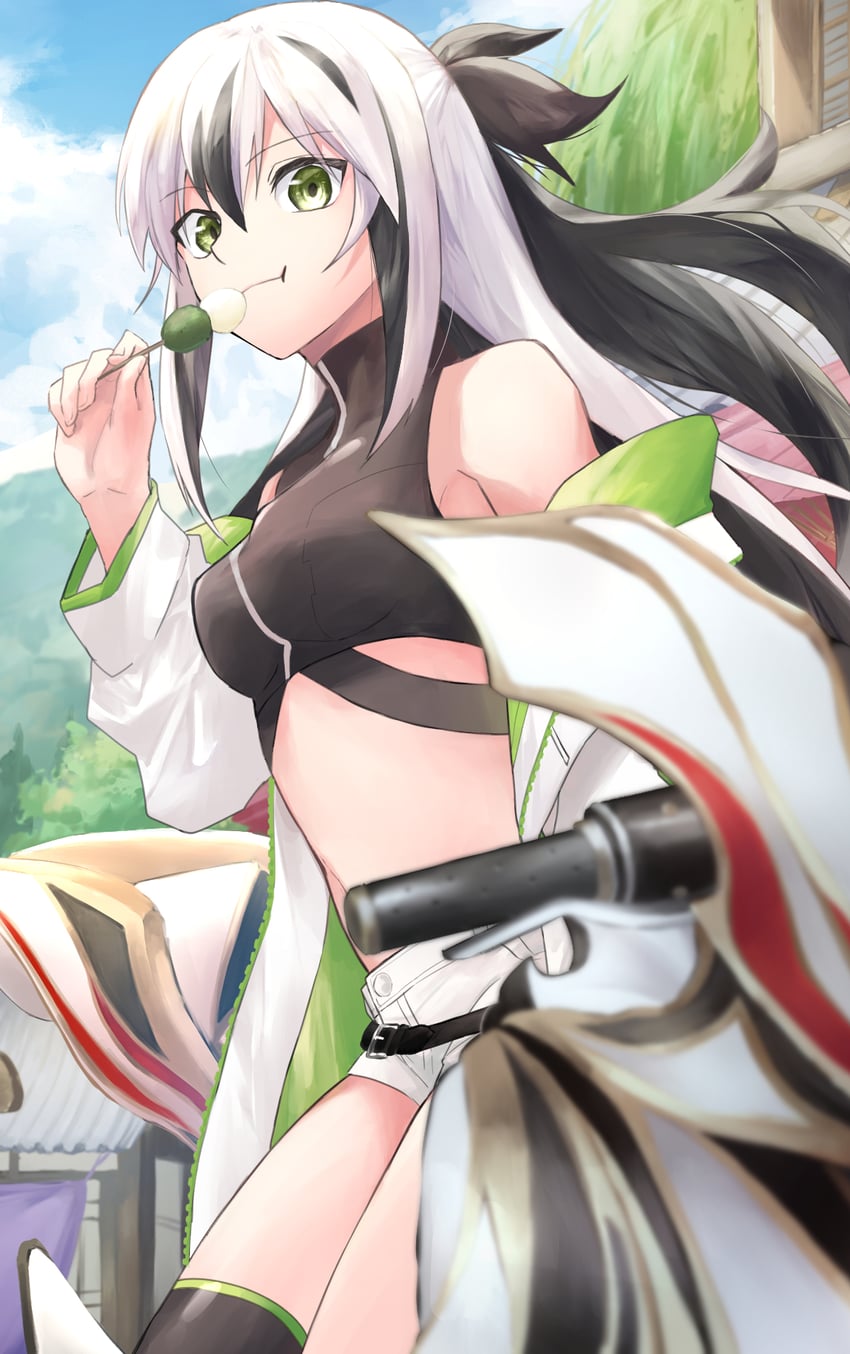 nagao kagetora and uesugi kenshin (fate and 1 more) drawn by noren69025954