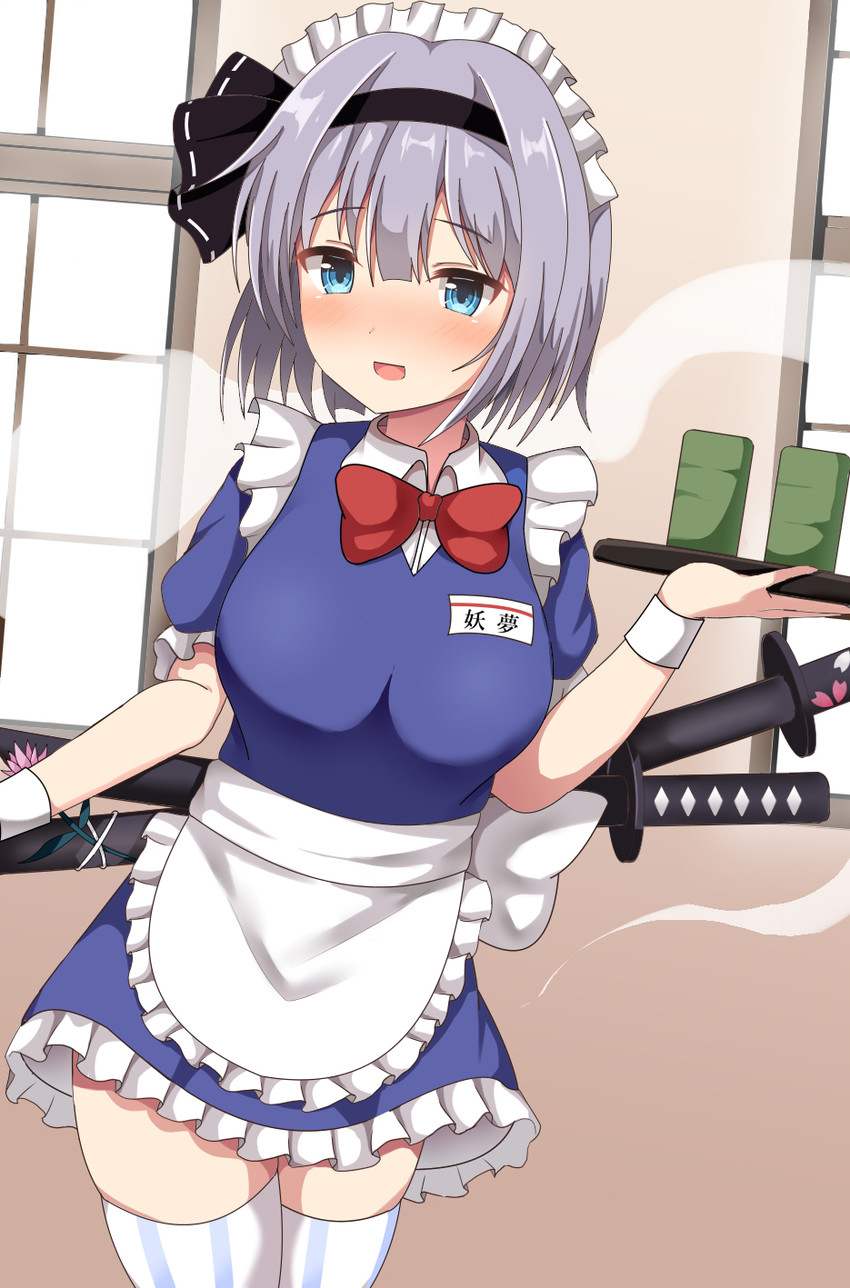 konpaku youmu (touhou and 1 more) drawn by guard_vent_jun