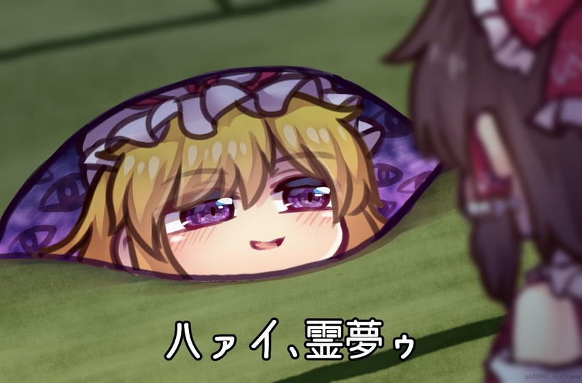 hakurei reimu and yakumo yukari (touhou and 1 more) drawn by unime_seaflower
