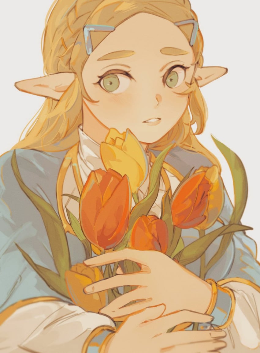 princess zelda (the legend of zelda and 1 more) drawn by ten_1397xx