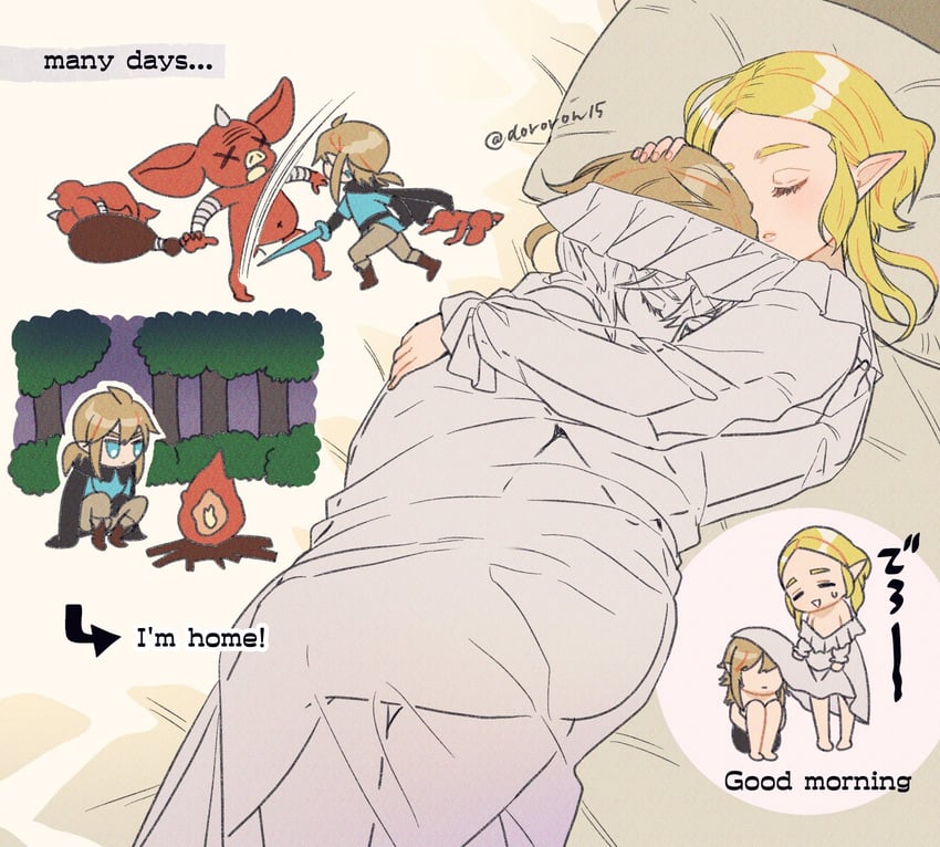 link and princess zelda (the legend of zelda and 1 more) drawn by dororon1