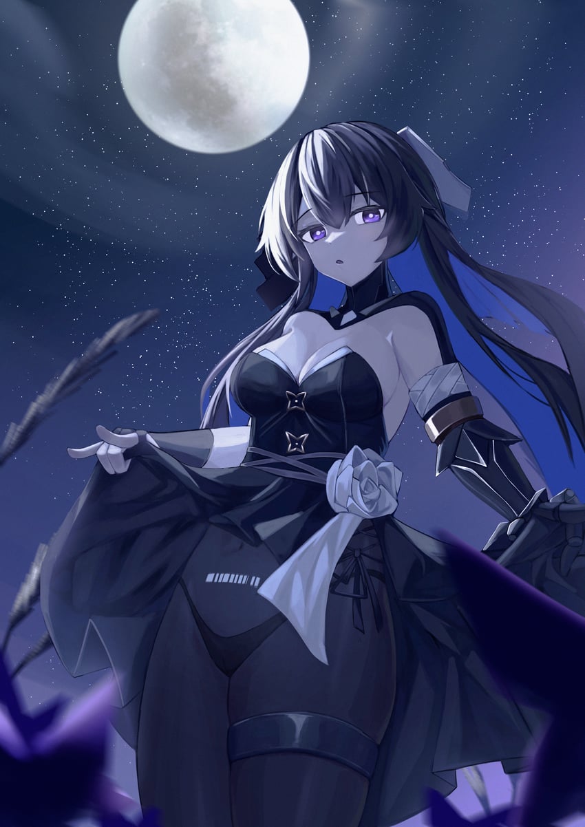 selena and selena: capriccio (punishing: gray raven) drawn by panluo