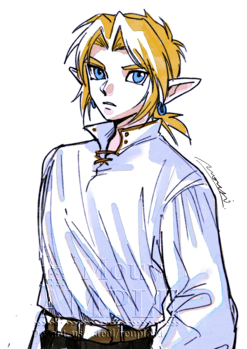link (the legend of zelda and 1 more) drawn by mouyi