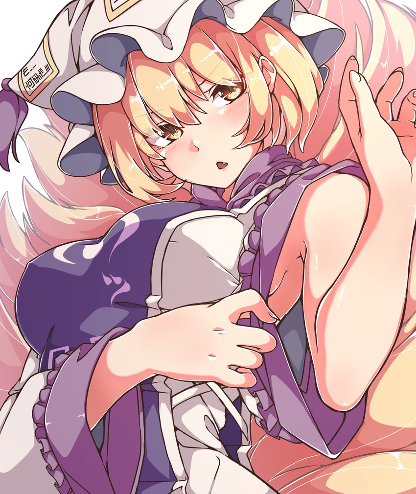 yakumo ran (touhou) drawn by gokuu_(acoloredpencil)