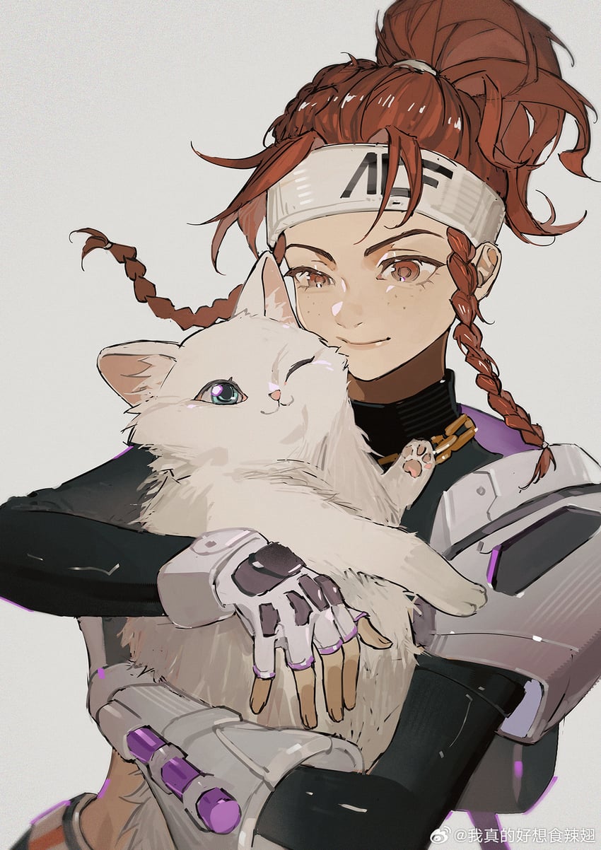 brigitte, bb brigitte, and whiskers (overwatch and 1 more) drawn by akihare