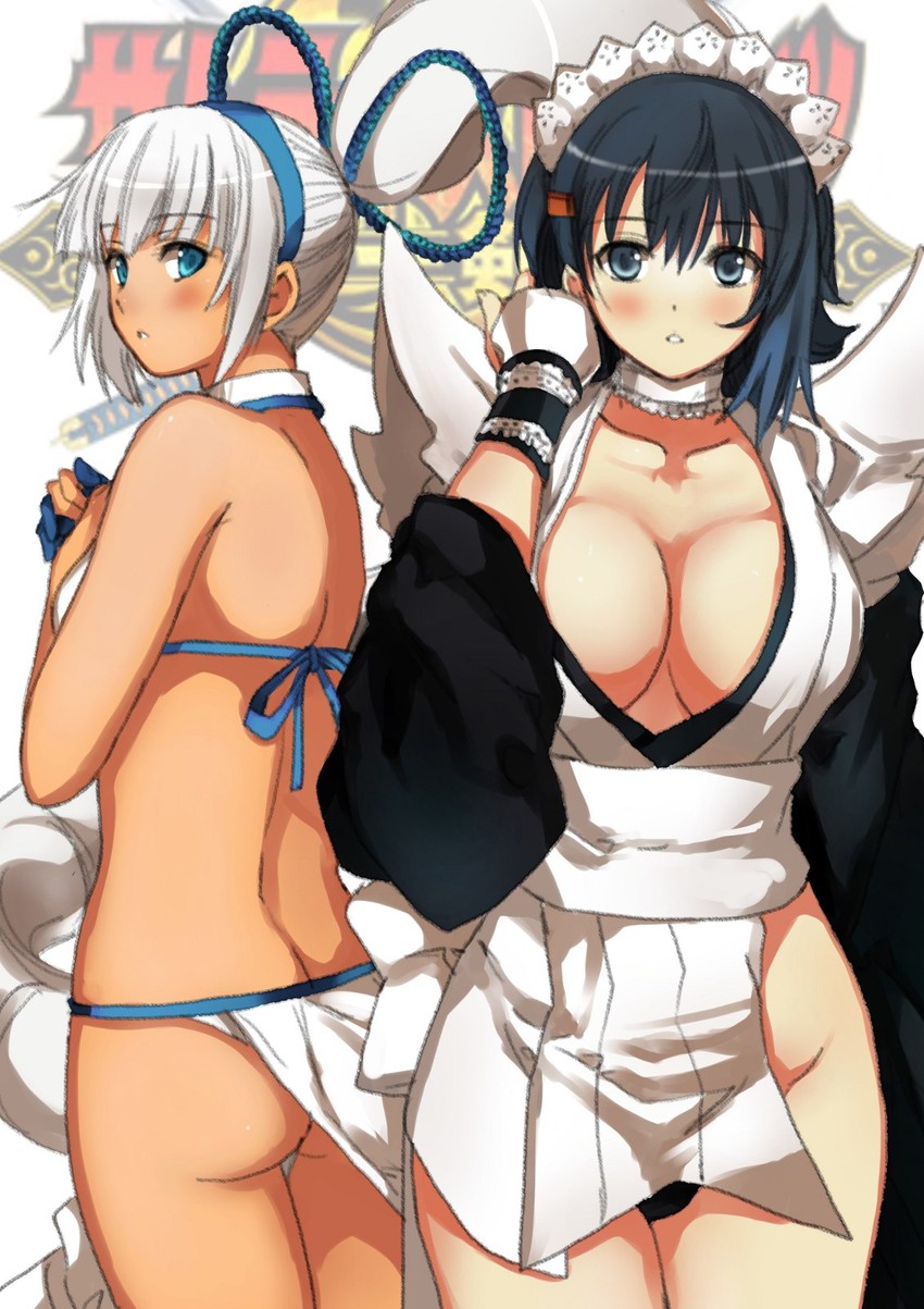 iroha and majikina mina (queen's blade and 1 more) drawn by garimpeiro