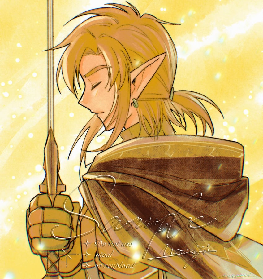 link (the legend of zelda and 1 more) drawn by mouyi