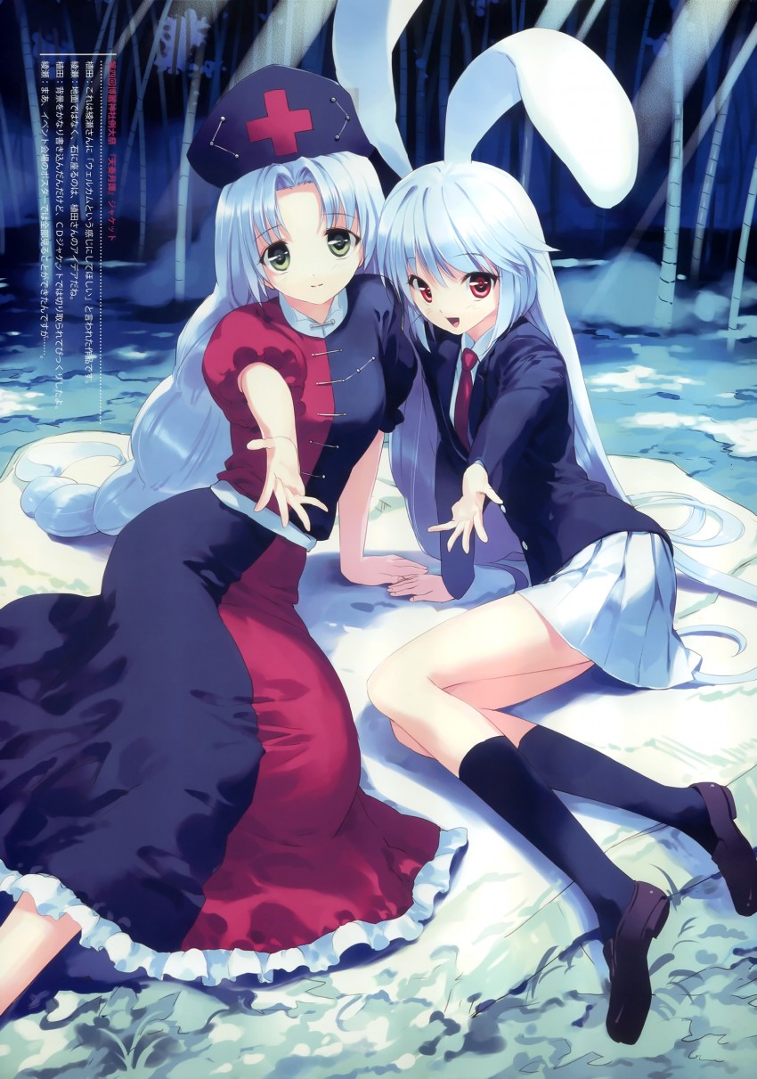 reisen udongein inaba and yagokoro eirin (touhou and 1 more) drawn by ueda_ryou