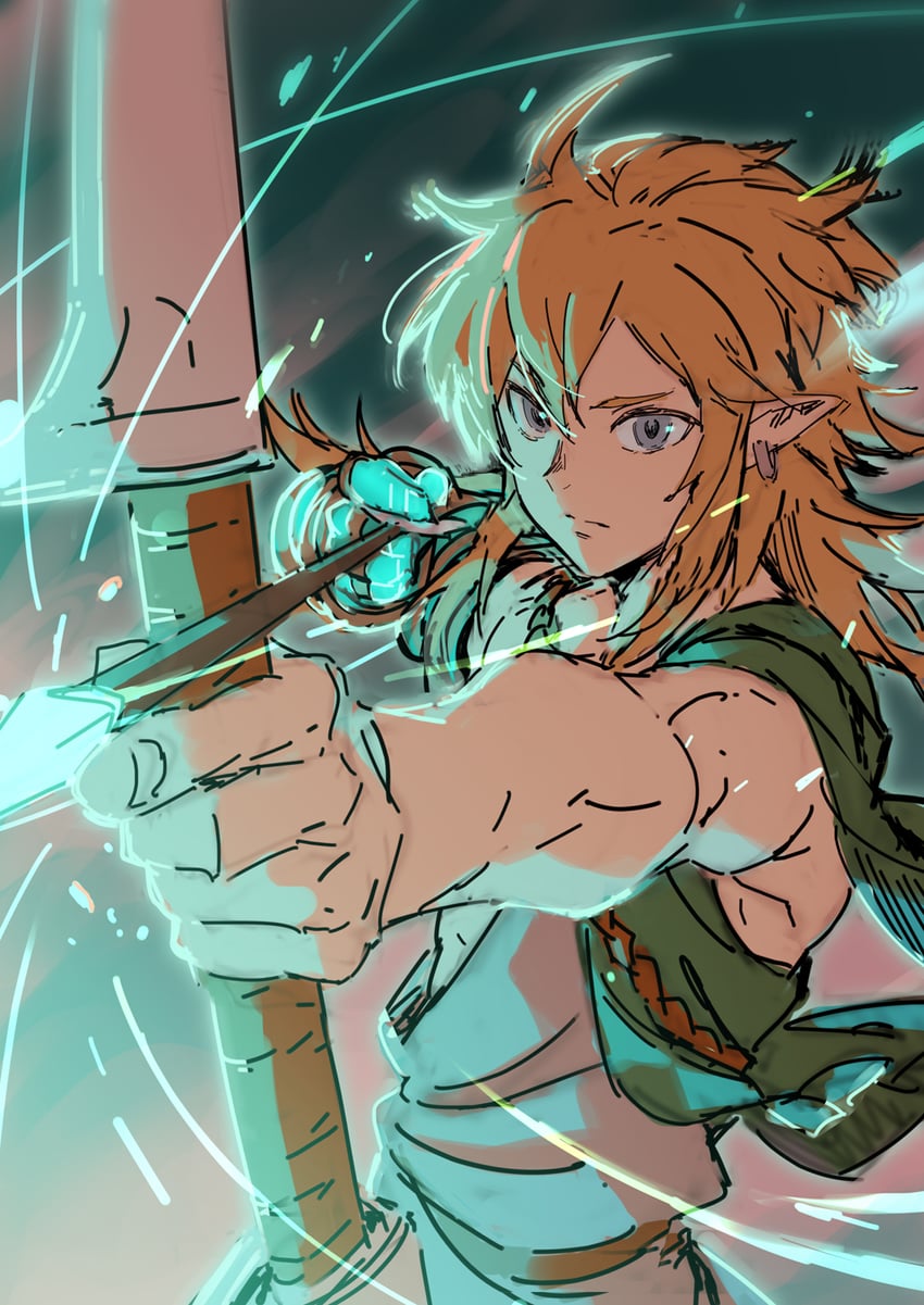 link (the legend of zelda and 1 more) drawn by yotukuro