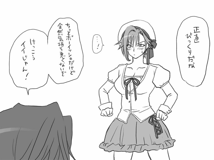 igarashi kyou and hasumi souji (seitenkango. shinyuu to) drawn by eroe