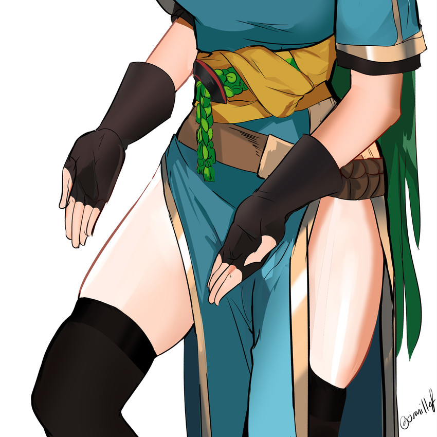 lyn (fire emblem and 1 more) drawn by ormille