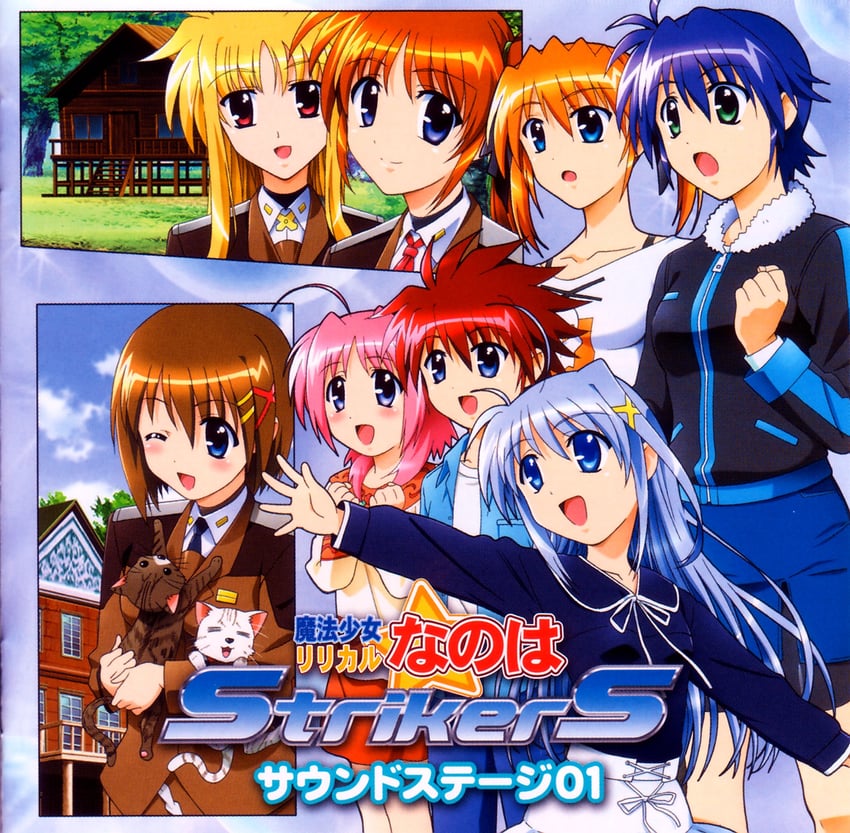 fate testarossa, takamachi nanoha, subaru nakajima, reinforce zwei, teana lanster, and 2 more (lyrical nanoha and 1 more)