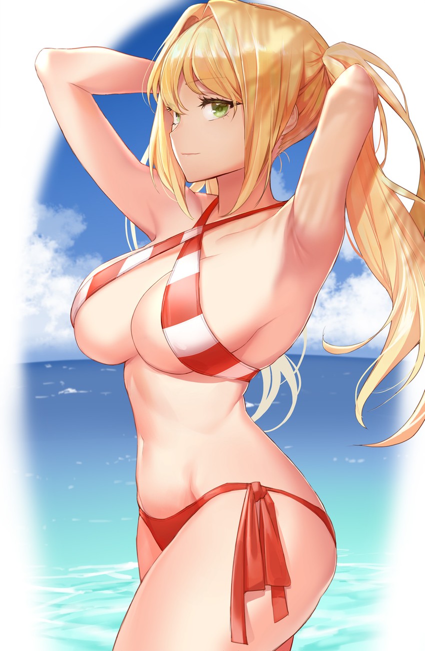 nero claudius (fate and 1 more) drawn by hyury