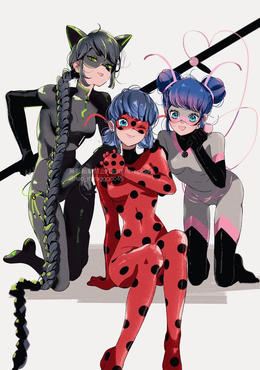 marinette dupain-cheng, ladybug, lady noir, and multimouse (miraculous ladybug) drawn by seio_(nao_miragggcc45)