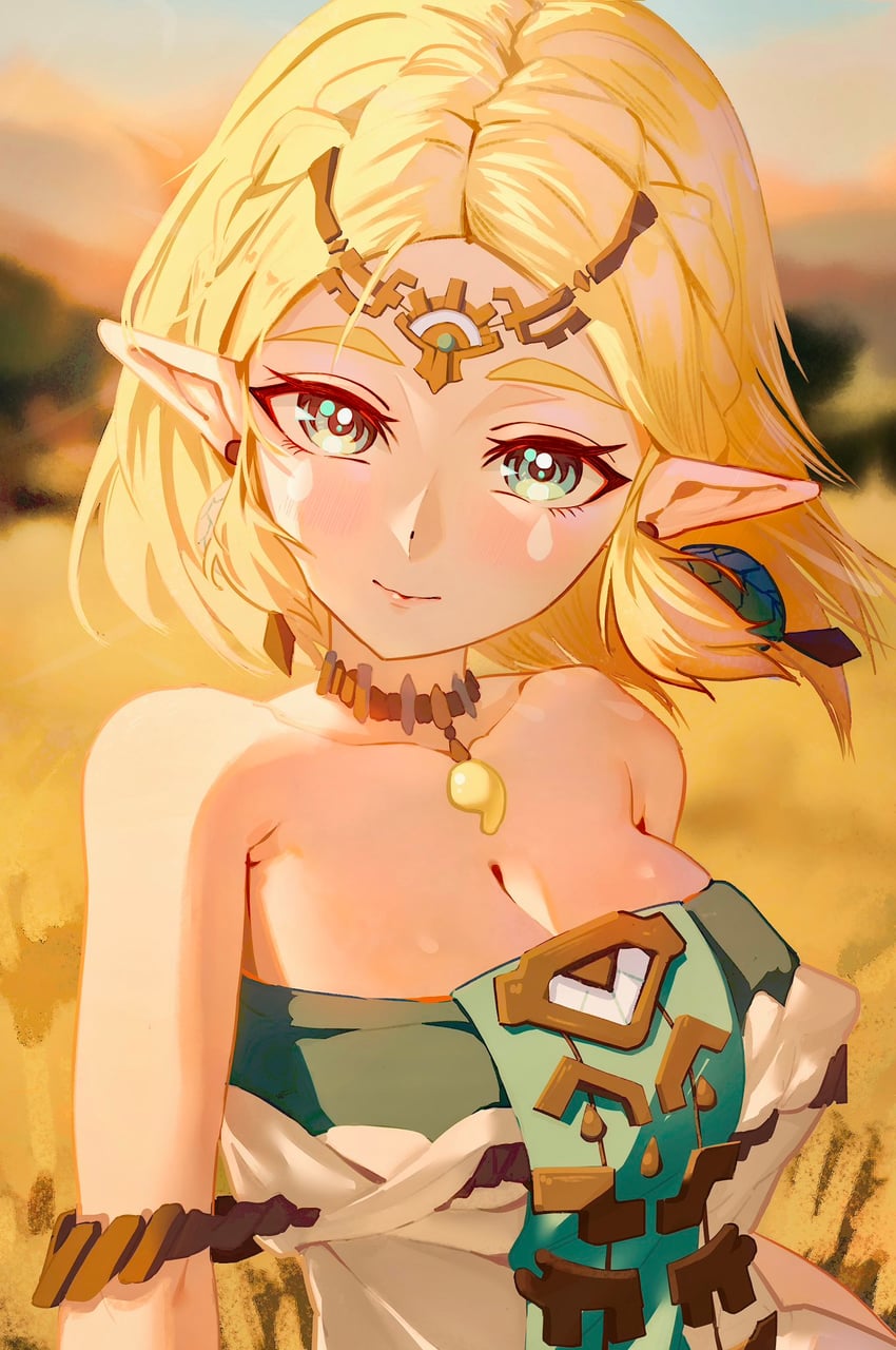princess zelda (the legend of zelda and 1 more) drawn by gbbgb321