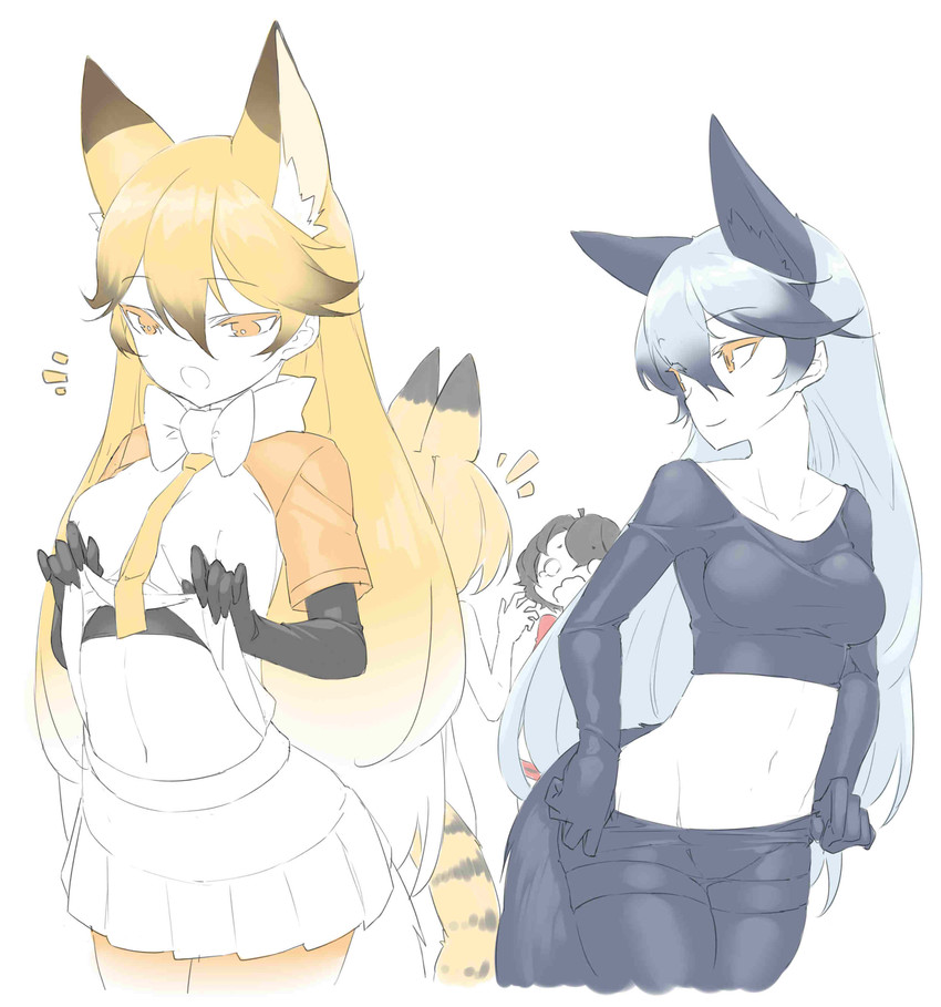 serval, kaban, silver fox, and ezo red fox (kemono friends) drawn by neko7