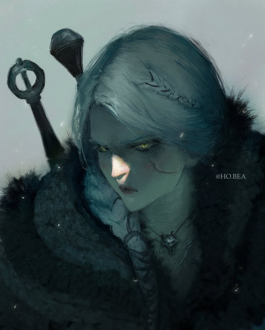 ciri (the witcher and 1 more) drawn by hobea