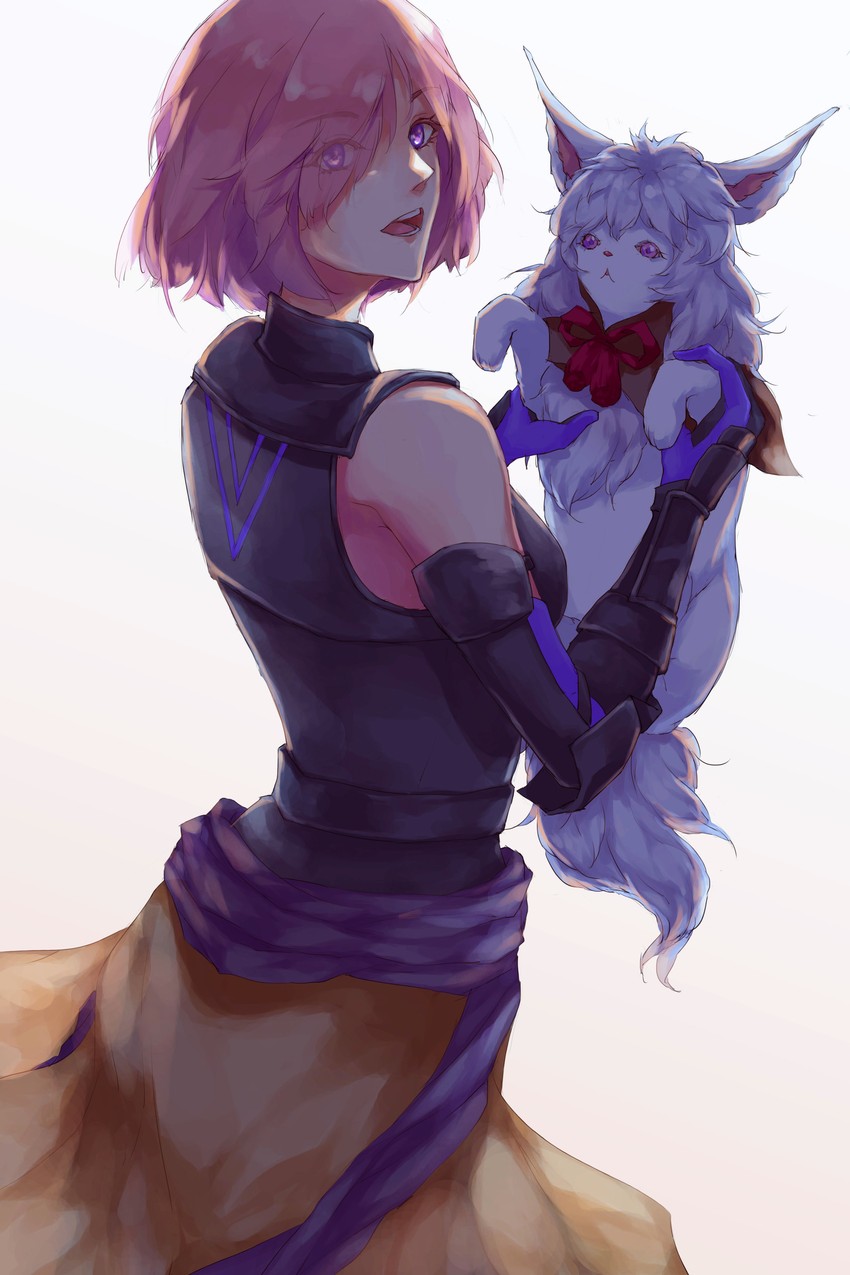 mash kyrielight and fou (fate and 1 more) drawn by pan2lightyple