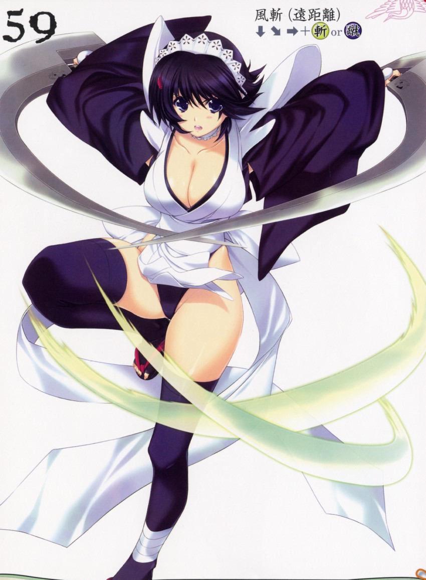 iroha (queen's blade and 2 more) drawn by iizuki_tasuku