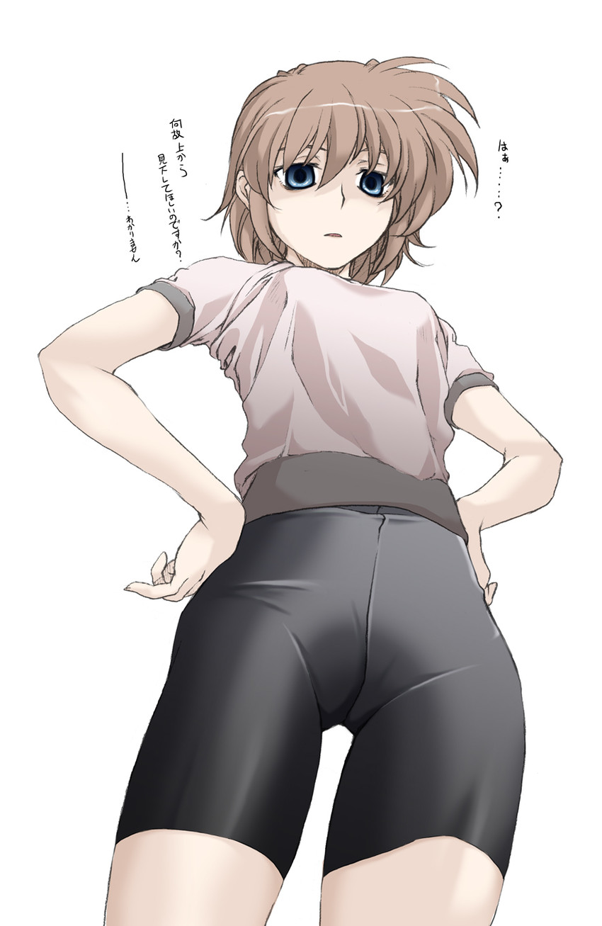 stern the destructor (lyrical nanoha and 3 more) drawn by elf_(stroll_in_the_woods)