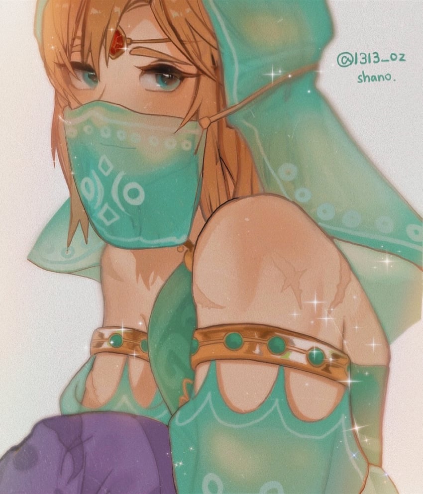 link (the legend of zelda and 1 more) drawn by shanodesu