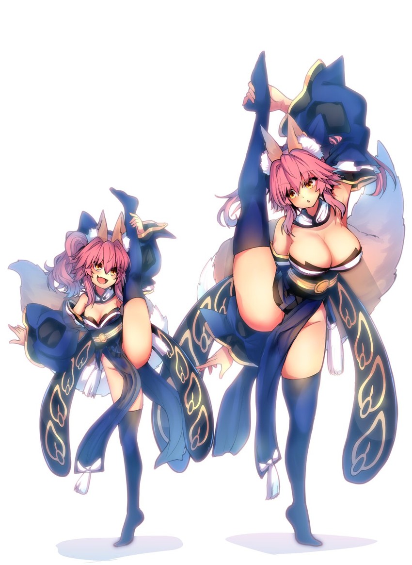 tamamo and tamamo no mae (fate and 1 more) drawn by wisespeak