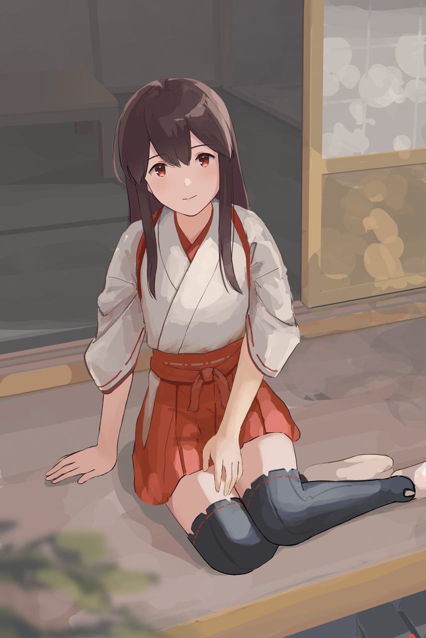 akagi and akagi kai ni (kantai collection) drawn by yuu+