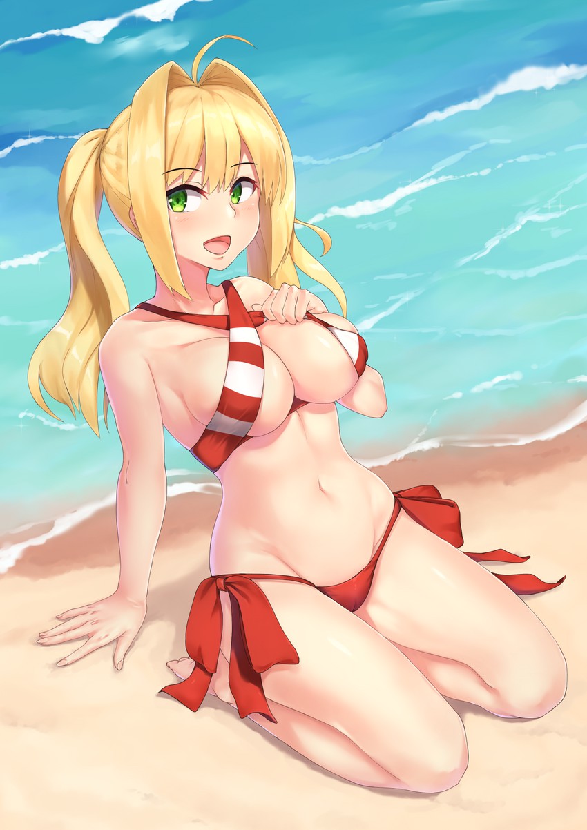 nero claudius (fate and 1 more) drawn by ryouya
