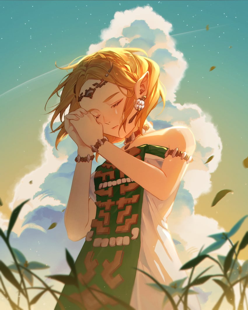 princess zelda (the legend of zelda and 1 more) drawn by panwhatcake
