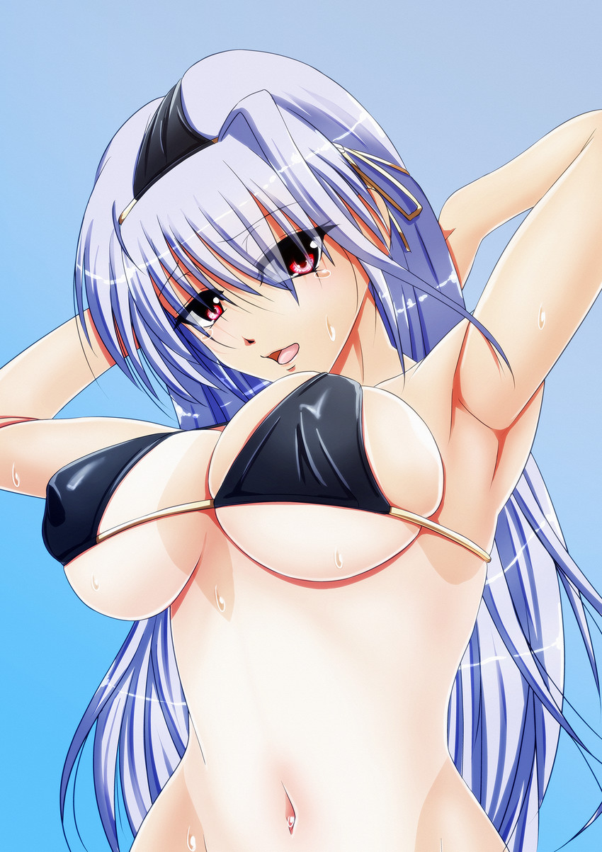 reinforce (lyrical nanoha and 2 more) drawn by tappa_(esperanza)