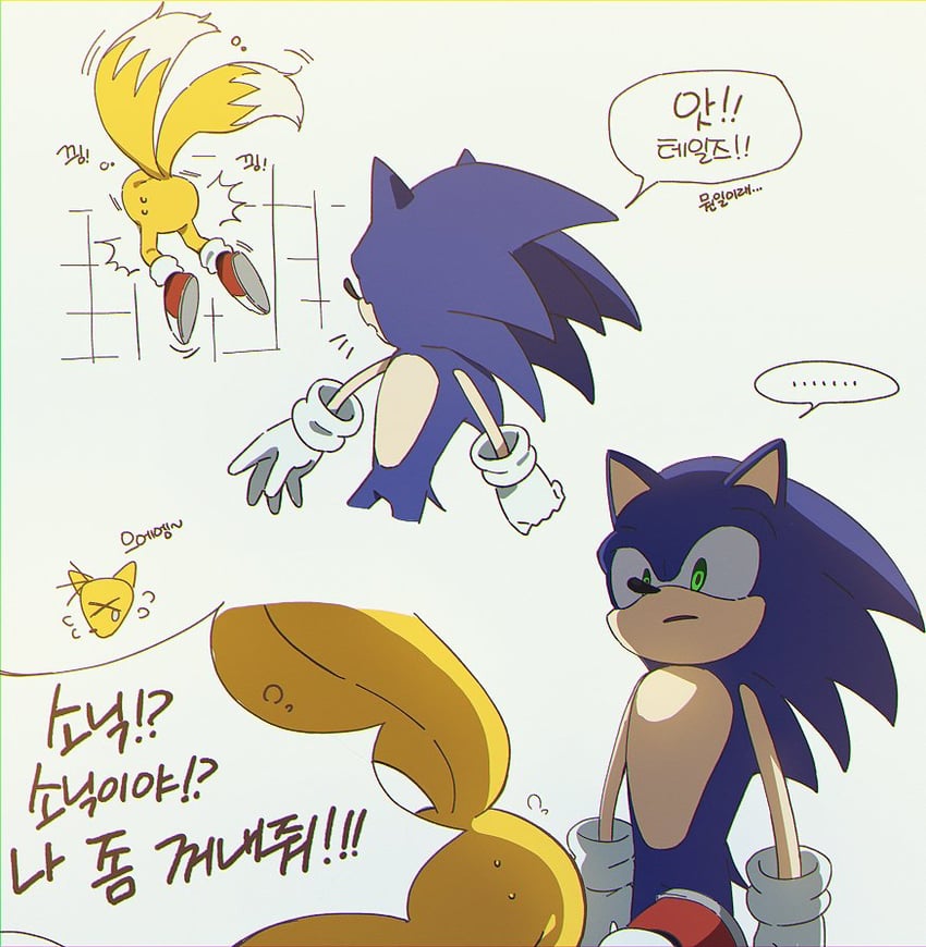 sonic the hedgehog and tails (sonic) drawn by banri_0917