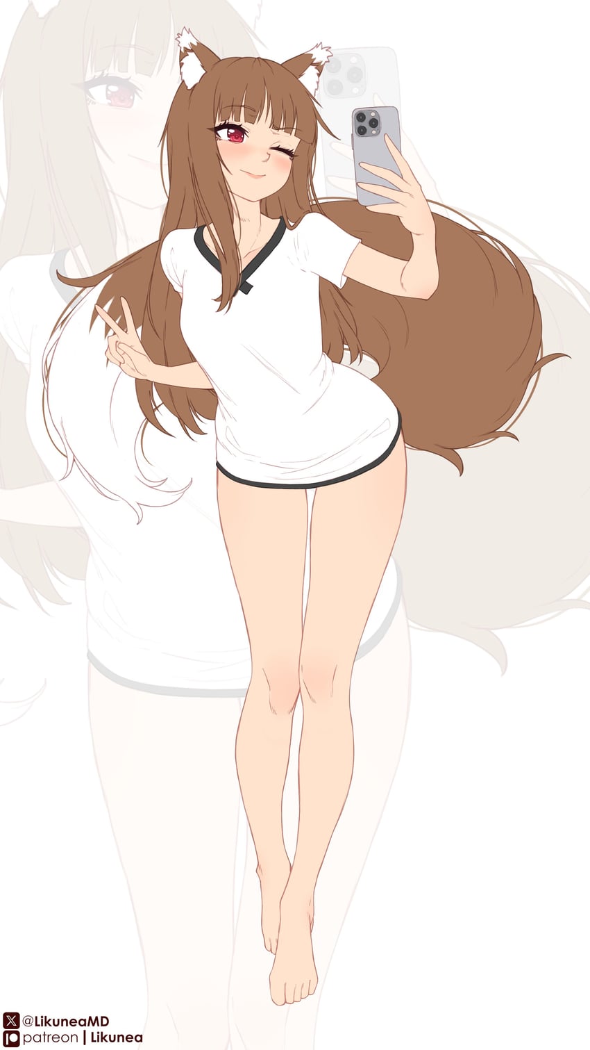 holo (spice and wolf) drawn by likunea