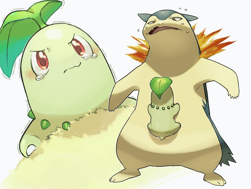 chikorita and typhlosion (pokemon) drawn by donnpati
