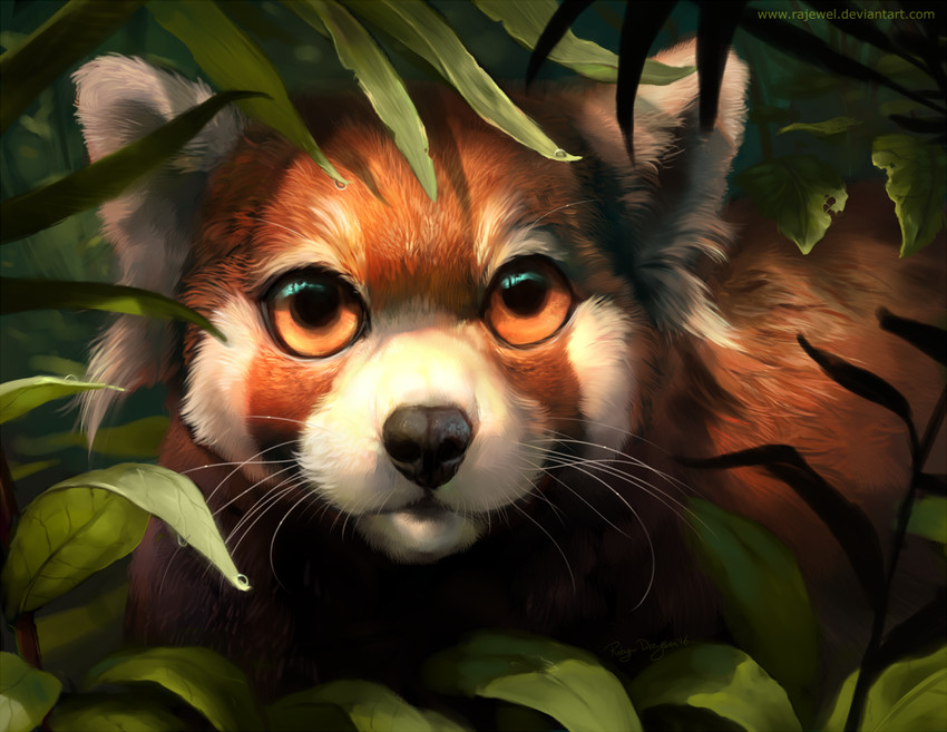 original drawn by rajewel