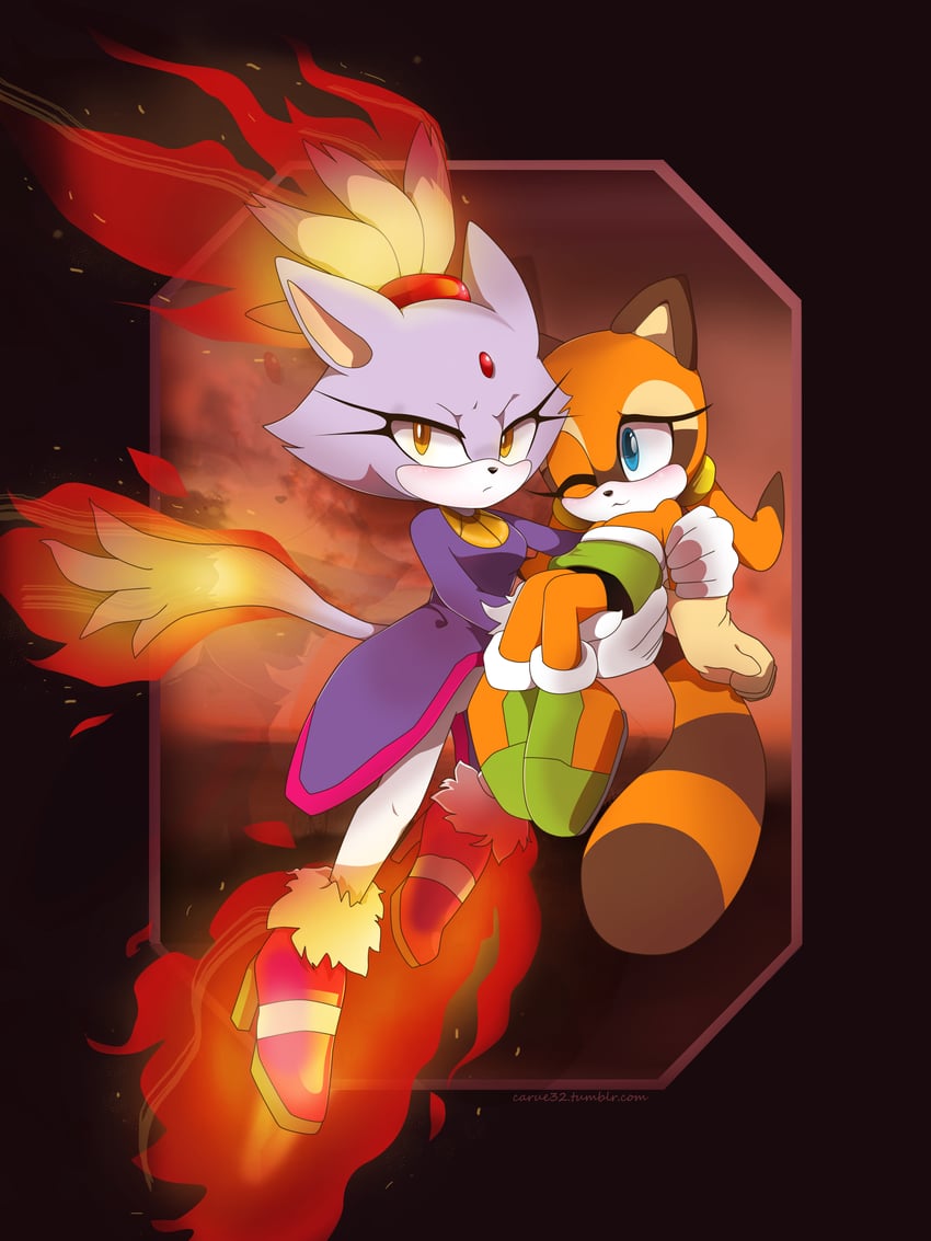 blaze the cat and marine the raccoon (sonic and 1 more) drawn by carue32