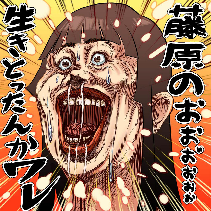 houraisan kaguya and hamada masatoshi (touhou and 1 more) drawn by waki-aiai