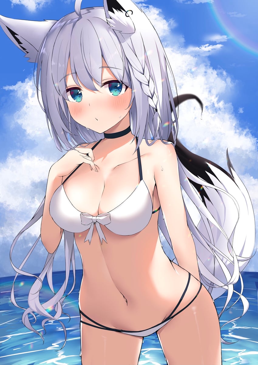 shirakami fubuki (hololive and 1 more) drawn by cilu_shinomori