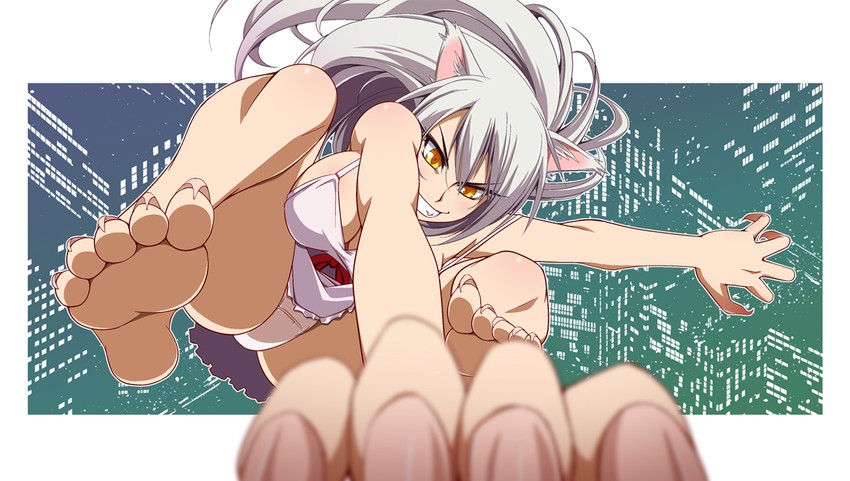 hanekawa tsubasa, felicia, and black hanekawa (monogatari and 3 more) drawn by hayashi_custom