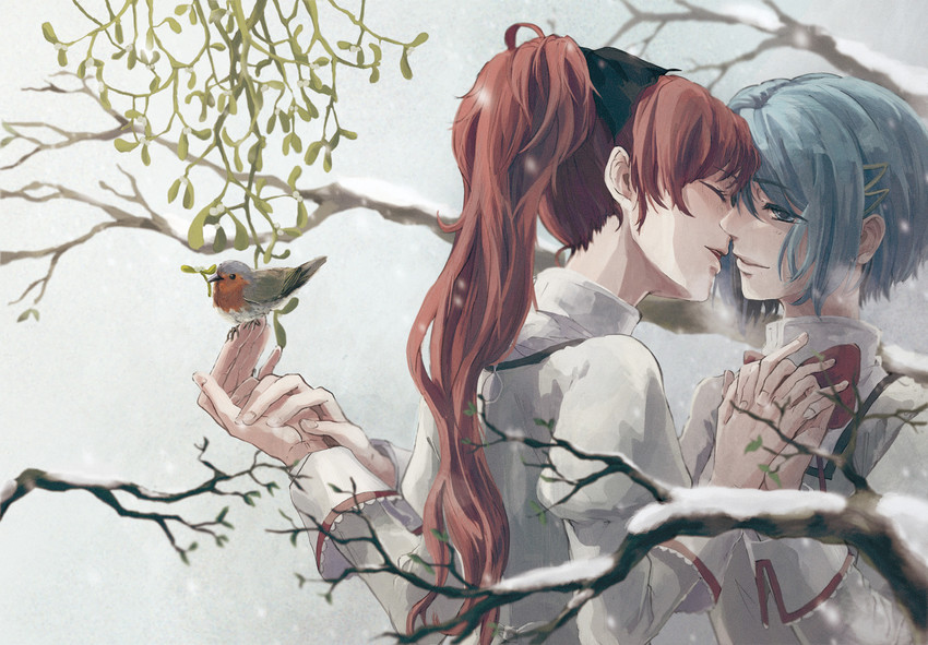 miki sayaka and sakura kyoko (mahou shoujo madoka magica) drawn by skylark_12