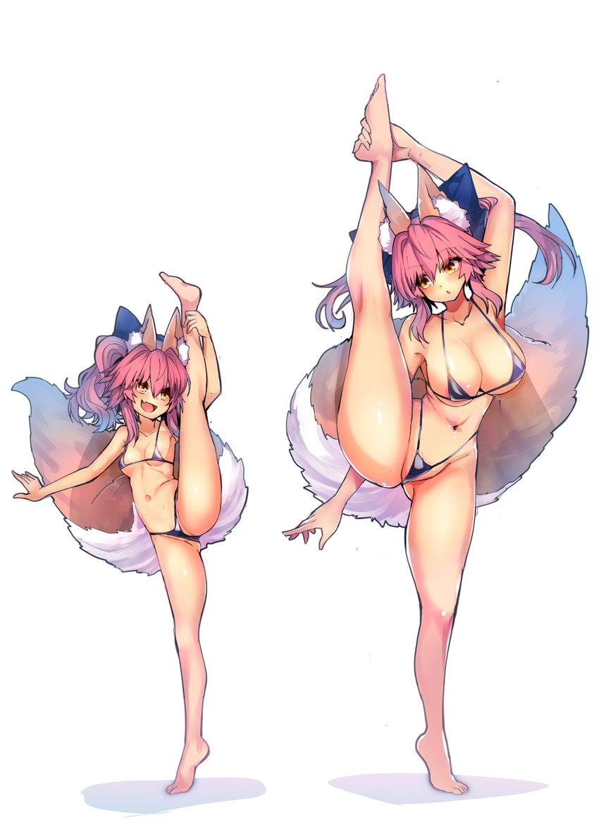 tamamo and tamamo no mae (fate and 1 more) drawn by wisespeak
