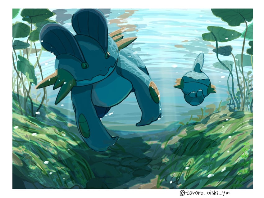 mudkip and swampert (pokemon) drawn by tororo_oishi_ym