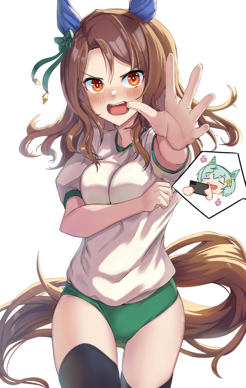 king halo and seiun sky (umamusume) drawn by tks_(526tks)