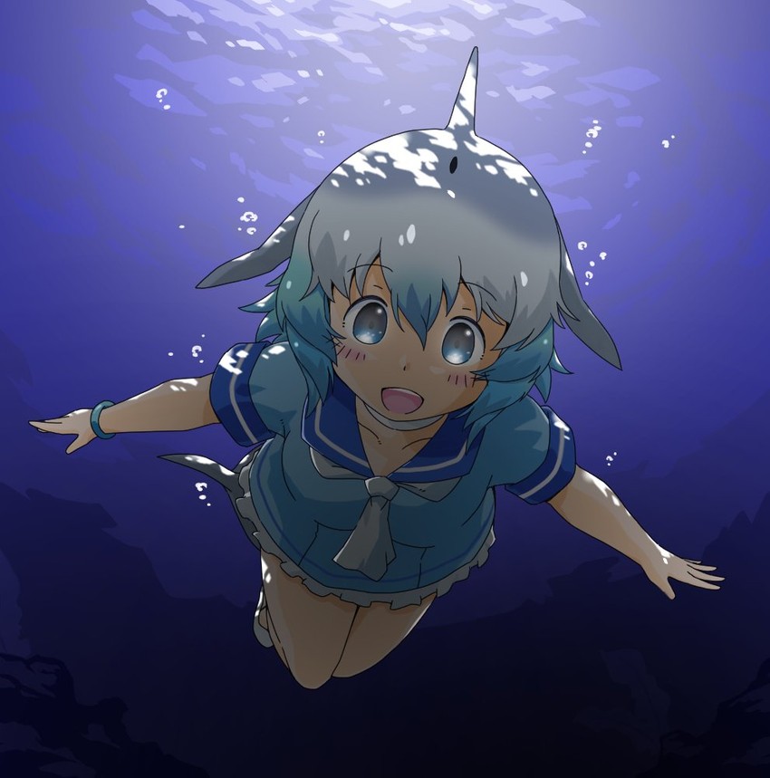 common bottlenose dolphin (kemono friends and 1 more) drawn by tona49jt