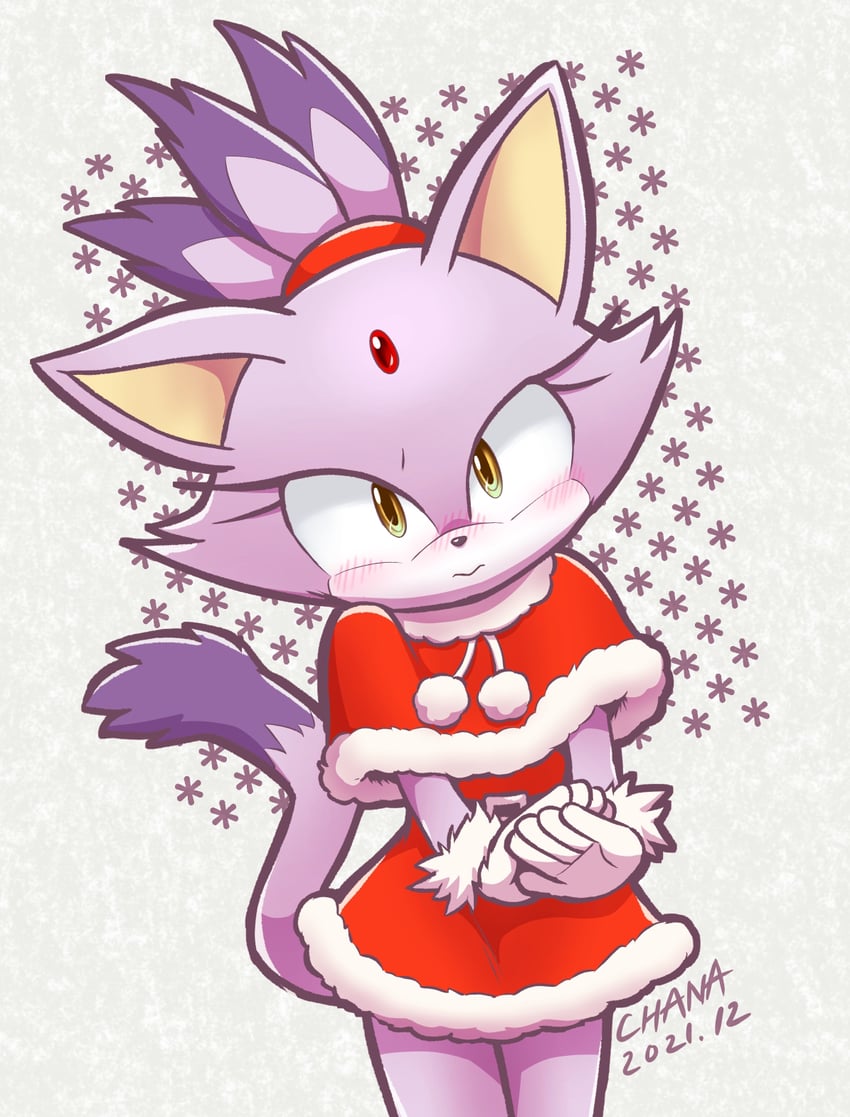 blaze the cat (sonic and 1 more) drawn by chana_(furrytails)