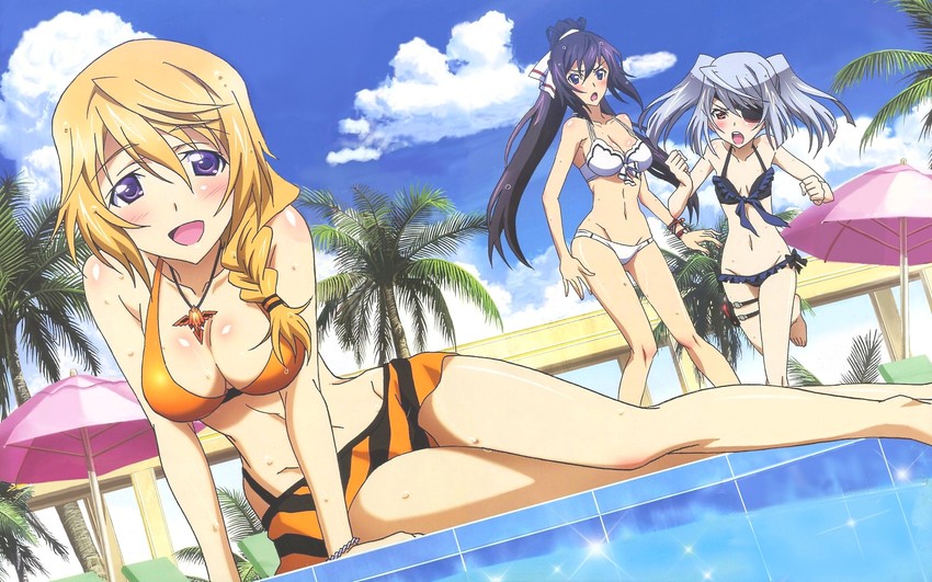 charlotte dunois, laura bodewig, and shinonono houki (infinite stratos) drawn by komito_yukiyo