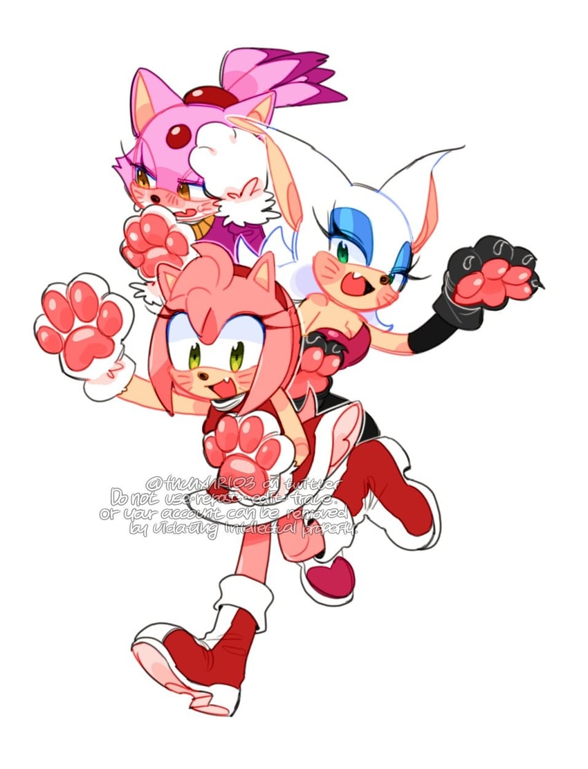 amy rose, blaze the cat, and rouge the bat (sonic) drawn by sucho
